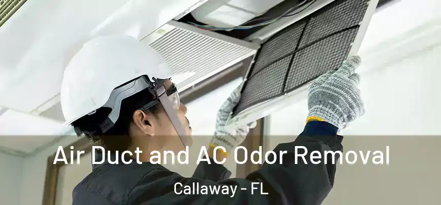 Air Duct and AC Odor Removal Callaway - FL