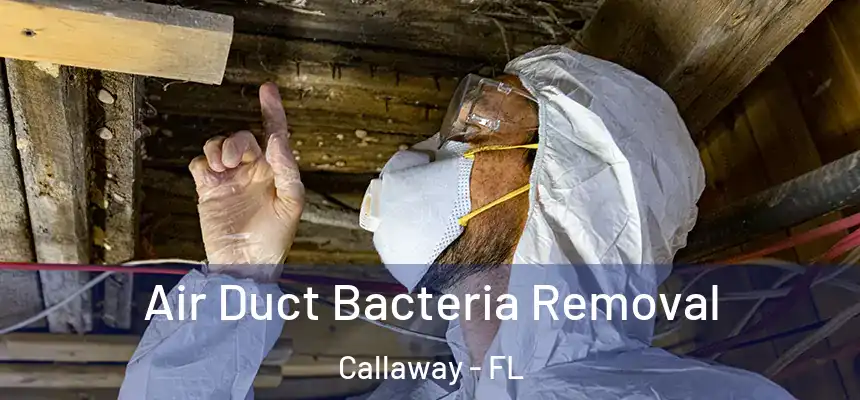 Air Duct Bacteria Removal Callaway - FL