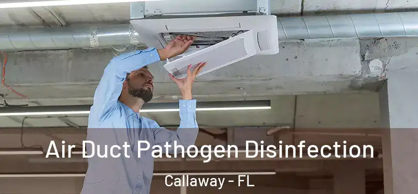 Air Duct Pathogen Disinfection Callaway - FL