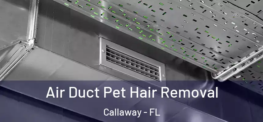 Air Duct Pet Hair Removal Callaway - FL