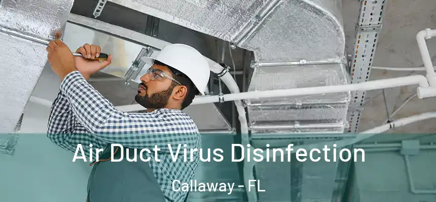 Air Duct Virus Disinfection Callaway - FL