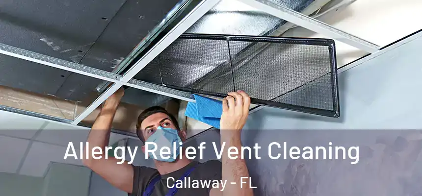 Allergy Relief Vent Cleaning Callaway - FL