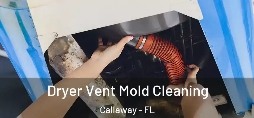 Dryer Vent Mold Cleaning Callaway - FL