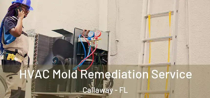 HVAC Mold Remediation Service Callaway - FL
