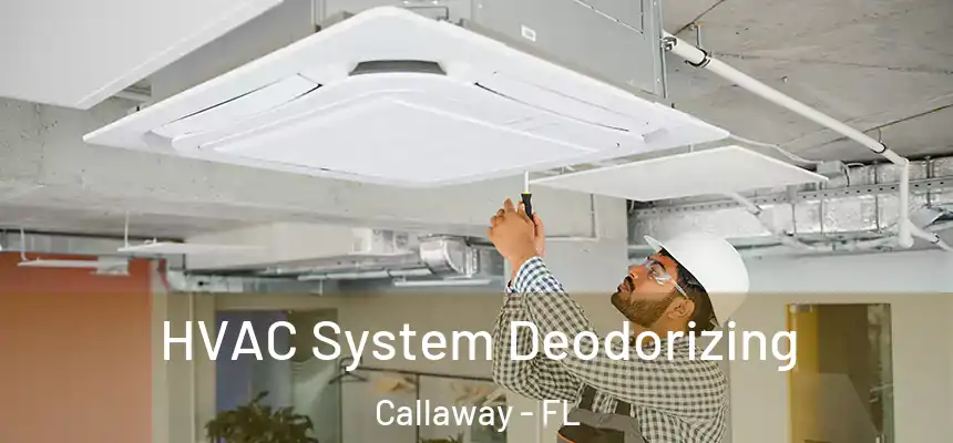 HVAC System Deodorizing Callaway - FL