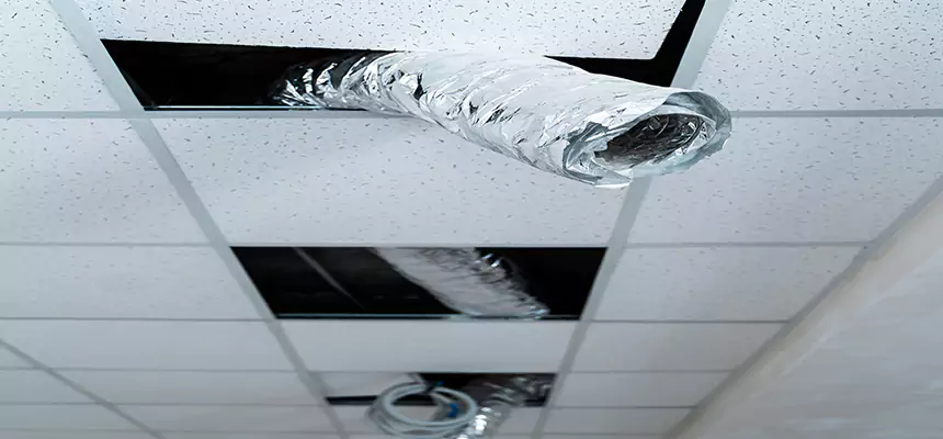 Our Air Duct Pet Hair Removal Services in Callaway, FL