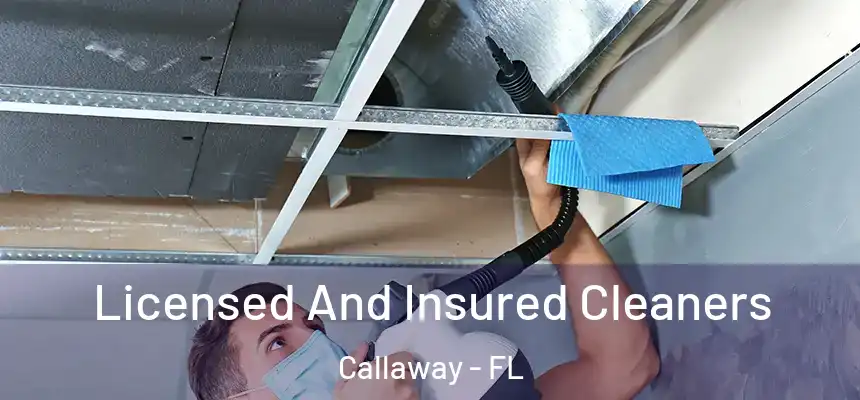 Licensed And Insured Cleaners Callaway - FL