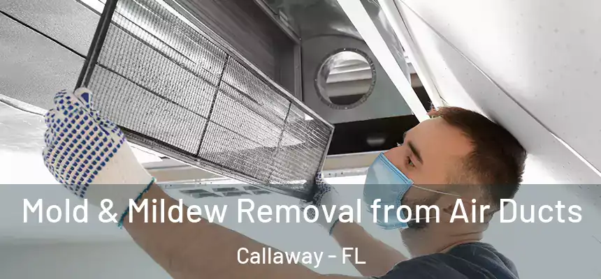 Mold & Mildew Removal from Air Ducts Callaway - FL