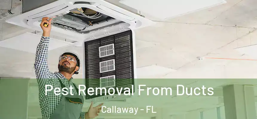 Pest Removal From Ducts Callaway - FL