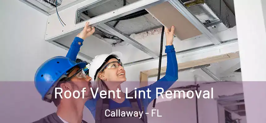 Roof Vent Lint Removal Callaway - FL