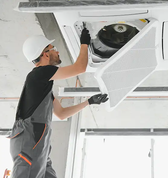 About Air Duct Rodent Removal in Callaway, FL