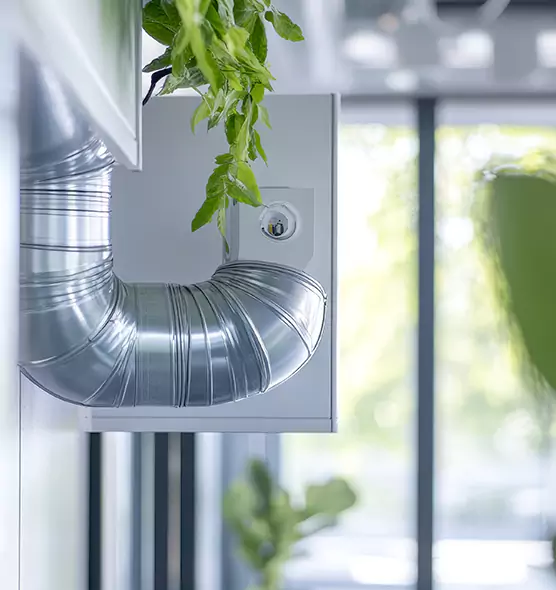 Professional Eco-Safe Dryer Vent Cleaning in Callaway, FL